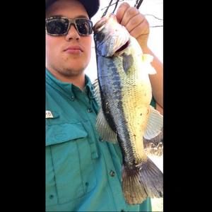 Meet your Posher, Cameron